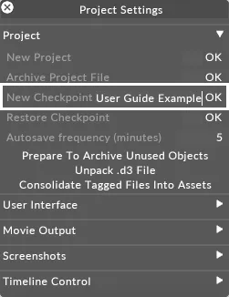 Checkpointing a project